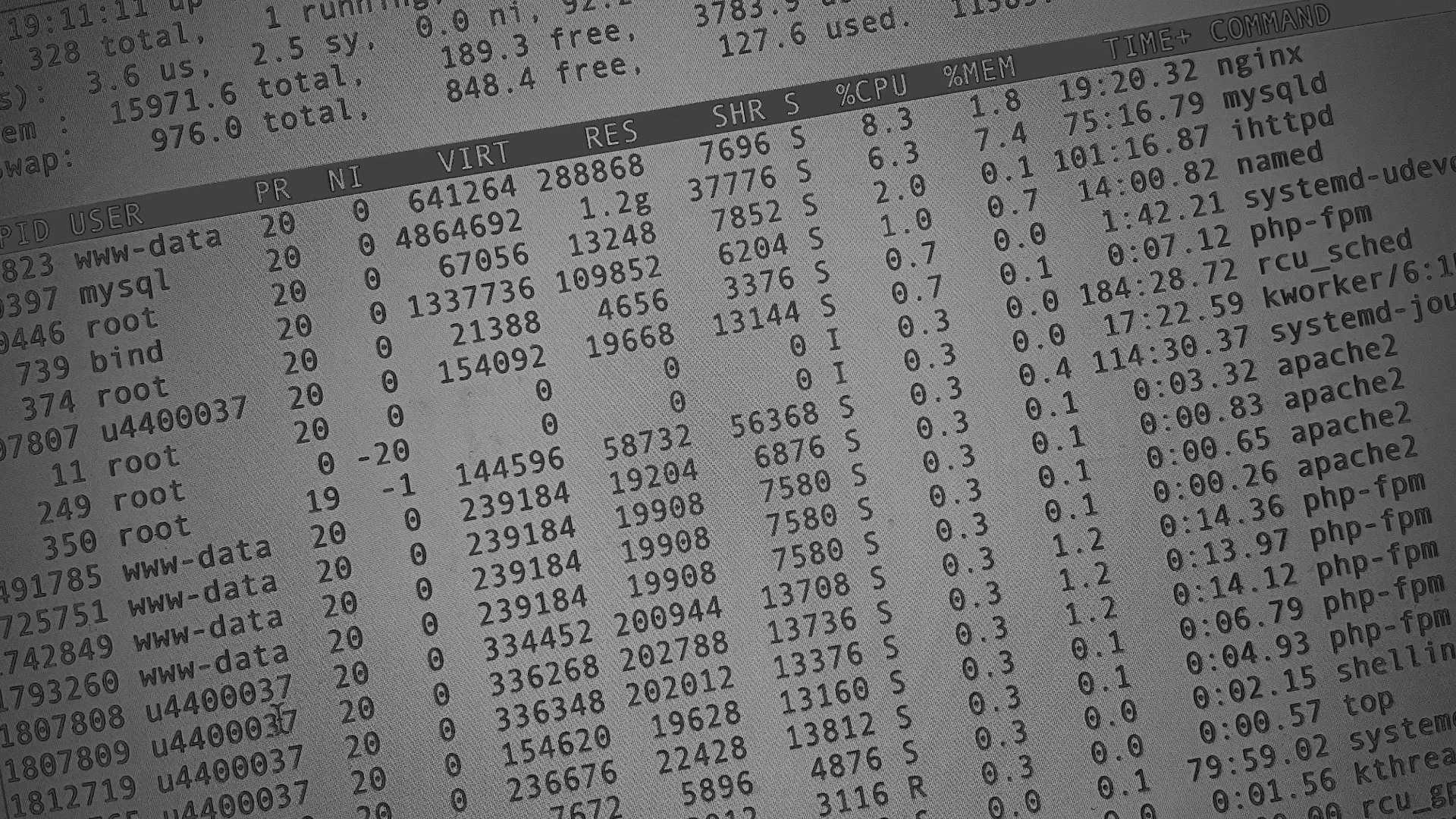 Настройка сервера в Лагани