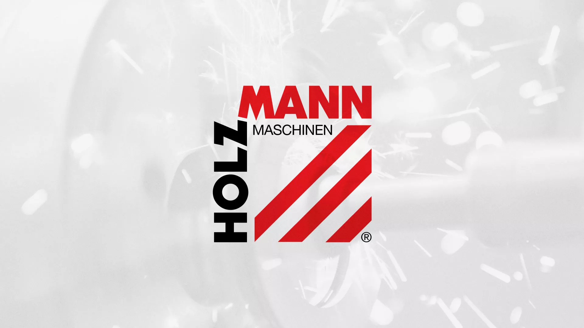 Создание сайта компании «HOLZMANN Maschinen GmbH» в Лагани